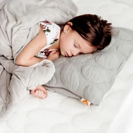 Toddler Pillow