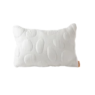 Allergen-Free Pillow SafetyCovers™